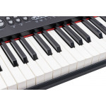 Klávesy 328-06 s mikrofónom čierne